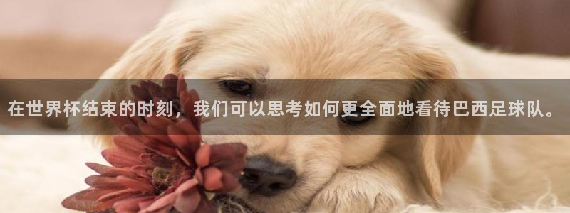 足球世界杯时间：在世界杯结束的时刻，我们可以思考如何更全面地看待巴西足球队。