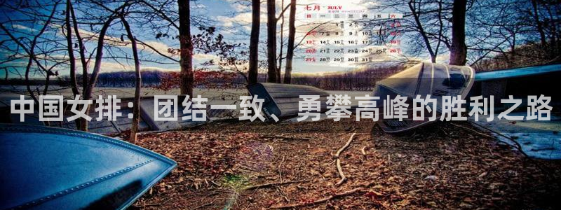 2026年世界杯赛程：中国女排：团结一致、勇攀高峰的胜利之路