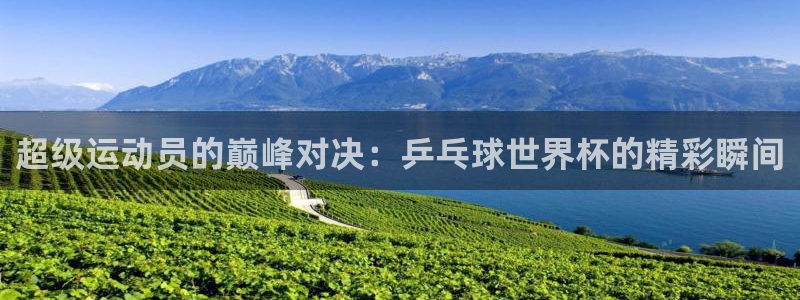 世界杯小组赛赛程：超级运动员的巅峰对决：乒乓球世界杯的精彩瞬间