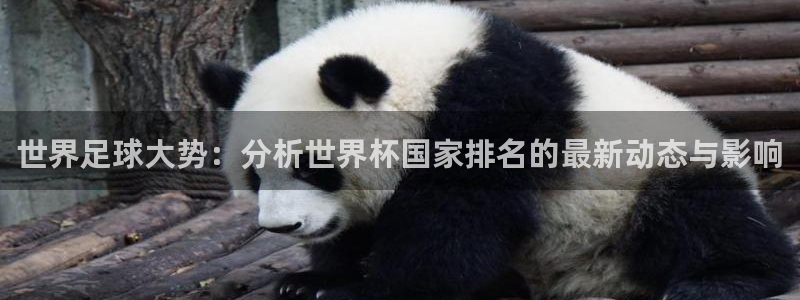世界杯预选赛亚洲区积分榜：世界足球大势：分析世界杯国家排名的最新动态与影响