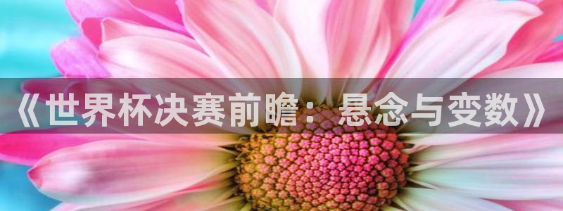 世界杯官网入口：《世界杯决赛前瞻：悬念与变数》