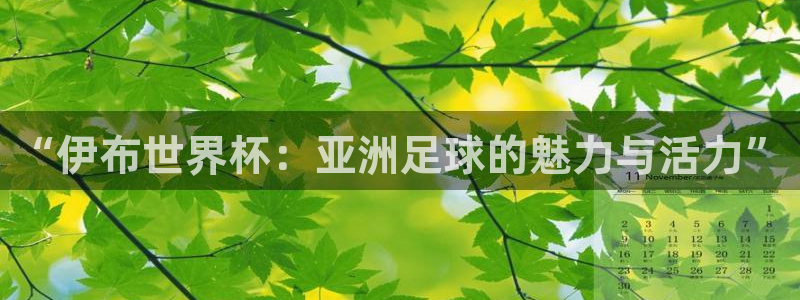 足球世界杯赛程：“伊布世界杯：亚洲足球的魅力与活力”