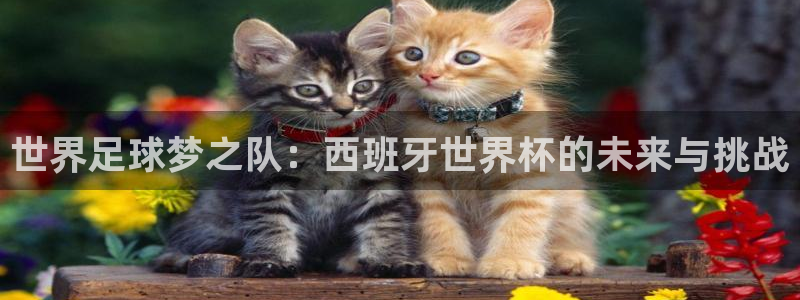 世界杯：世界足球梦之队：西班牙世界杯的未来与挑战