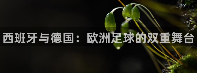 足球世界杯赛程：西班牙与德国：欧洲足球的双重舞台