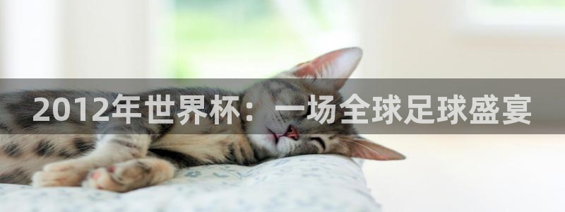 足球世界杯时间：2012年世界杯：一场全球足球盛宴