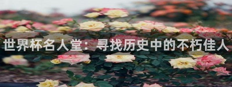 2026世界杯赛程时间表最新：世界杯名人堂：寻找历史中的不朽佳人