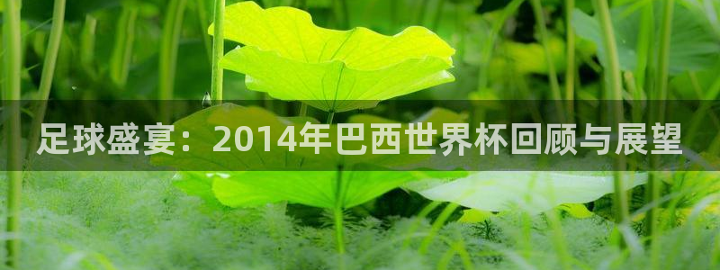 2026年男足世界杯：足球盛宴：2014年巴西世界杯回顾与展望