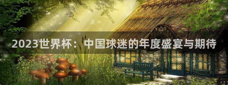世界杯球赛：2023世界杯：中国球迷的年度盛宴与期待