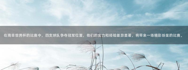 世界杯预选赛赛程:在南非世界杯的比赛中,四支球队争夺冠军位置,他们的实力和经验差异显著,将带来一场精彩纷呈的比赛。