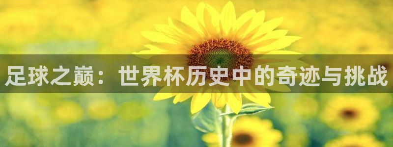 葡萄牙世界杯赛程：足球之巅：世界杯历史中的奇迹与挑战