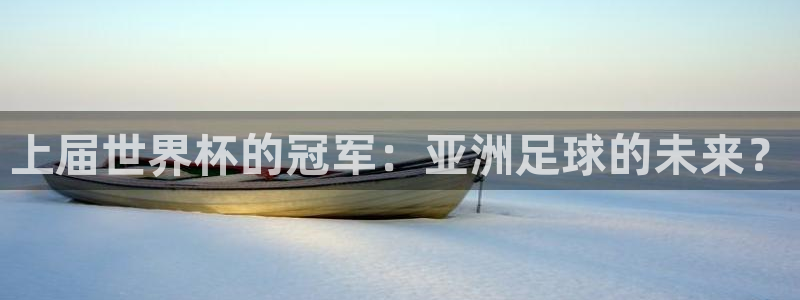 2026世界杯官网：上届世界杯的冠军：亚洲足球的未来？