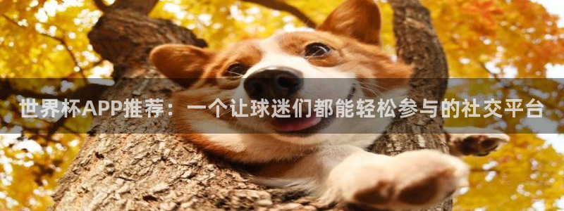 世界杯欧洲区赛程：世界杯APP推荐：一个让球迷们都能轻松参与的社交平台