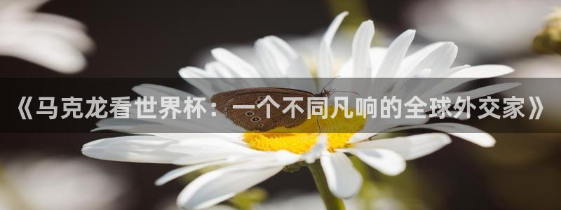 世界杯赛程2026：《马克龙看世界杯：一个不同凡响的全球外交家》